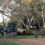 O Pantanal: safáris brasileiros e a biodiversidade exuberante